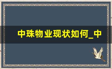 中珠物业现状如何_中珠物业有住房公积金吗