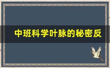 中班科学叶脉的秘密反思_游戏与自然关系的探究