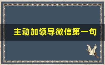 主动加领导微信第一句话怎么说呢