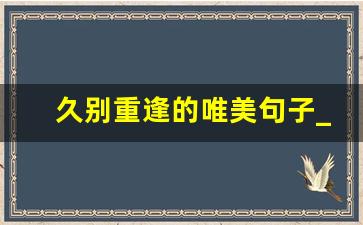 久别重逢的唯美句子_形容再次相聚的唯美