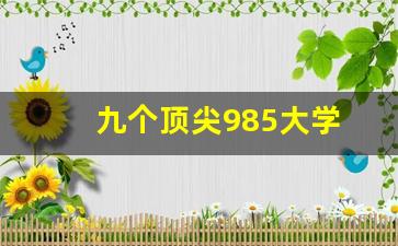 九个顶尖985大学