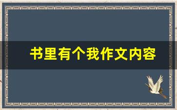 书里有个我作文内容