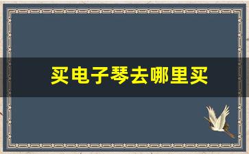 买电子琴去哪里买