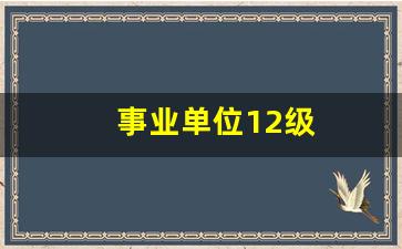 事业单位12级