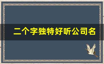 二个字独特好听公司名字