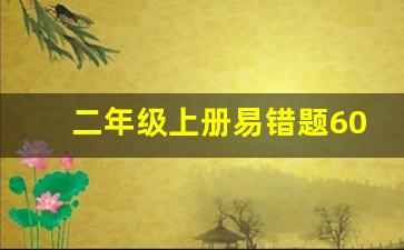 二年级上册易错题60道