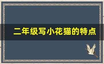 二年级写小花猫的特点100字