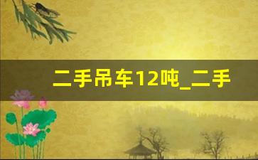 二手吊车12吨_二手行吊交易市场