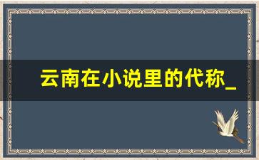 云南在小说里的代称_云南被称之为什么