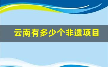 云南有多少个非遗项目