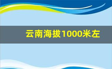 云南海拔1000米左右的城市