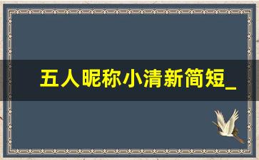 五人昵称小清新简短_游戏5开高雅名字