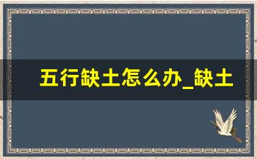 五行缺土怎么办_缺土最吉利的五十个字