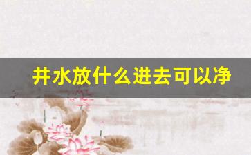 井水放什么进去可以净化_污水变清水最快方法