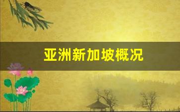 亚洲新加坡概况