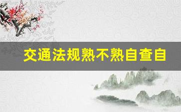 交通法规熟不熟自查自纠_军车驾驶员个人自检自查报告