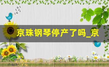 京珠钢琴停产了吗_京珠钢琴哪个系列最好