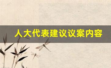 人大代表建议议案内容