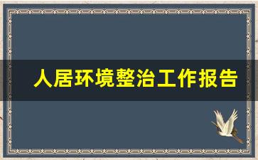 人居环境整治工作报告总结