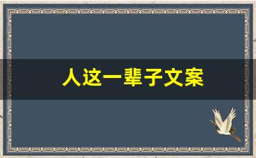 人这一辈子文案