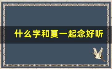 什么字和夏一起念好听