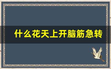 什么花天上开脑筋急转弯