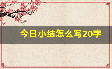 今日小结怎么写20字