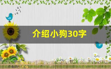 介绍小狗30字