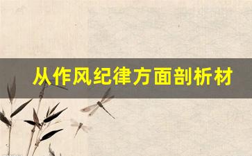 从作风纪律方面剖析材料_作风纪律个人对照检查材料