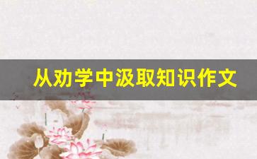 从劝学中汲取知识作文600字