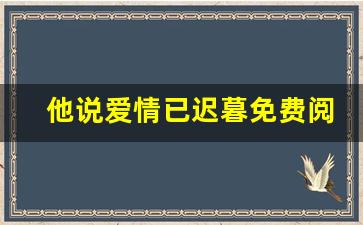 他说爱情已迟暮免费阅读_小说名《深情已迟暮》