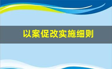 以案促改实施细则