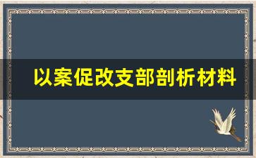 以案促改支部剖析材料_以案促改支部对照检查材料