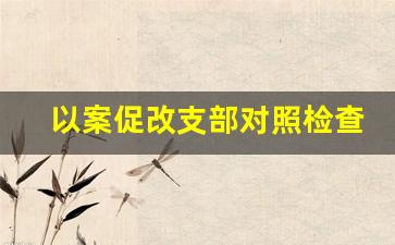 以案促改支部对照检查材料_党支部以案促改总结