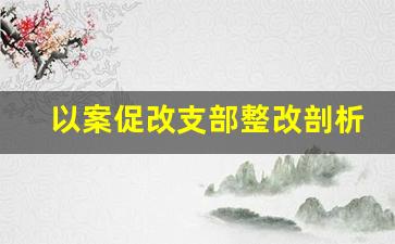 以案促改支部整改剖析材料