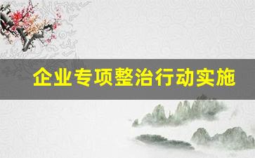 企业专项整治行动实施方案_选矿企业环保专项整治方案