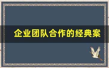 企业团队合作的经典案例