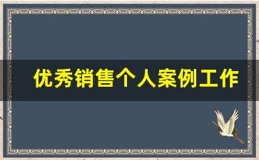 优秀销售个人案例工作分享