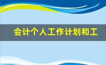 会计个人工作计划和工作目标