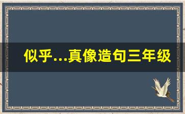 似乎…真像造句三年级简单