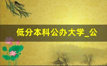 低分本科公办大学_公办二本大学