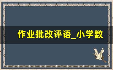 作业批改评语_小学数学作业鼓励性评语