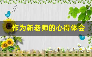 作为新老师的心得体会