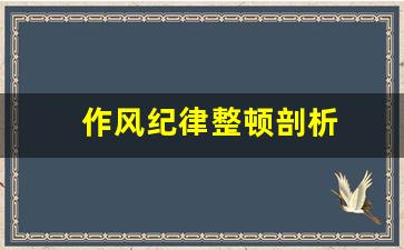 作风纪律整顿剖析