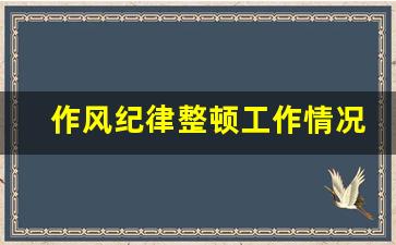 作风纪律整顿工作情况