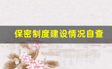 保密制度建设情况自查报告_办公室保密工作自查报告