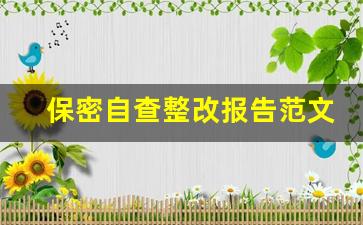 保密自查整改报告范文_保密问题整改情况报告