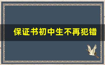 保证书初中生不再犯错怎么写