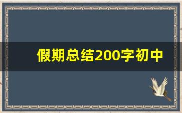 假期总结200字初中