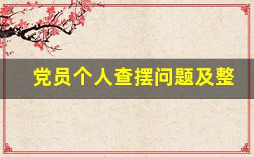 党员个人查摆问题及整改措施_支部问题查摆及整改情况